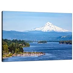 Skipvelo canvas wall for sale  Delivered anywhere in USA 