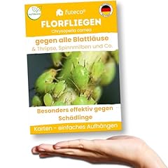 Futeco florfliegenlarven blatt gebraucht kaufen  Wird an jeden Ort in Deutschland