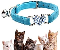 Lovely kitten collar for sale  Delivered anywhere in UK