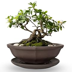 Muzhi 6.8 inch for sale  Delivered anywhere in USA 