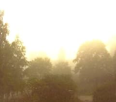 Sun peeking through gebraucht kaufen  Wird an jeden Ort in Deutschland