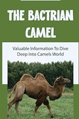 Bactrian camel valuable for sale  Delivered anywhere in USA 