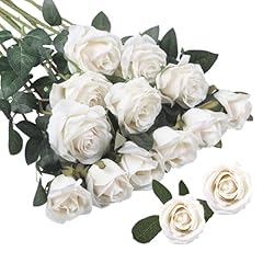 Enixwh 12pcs rosen gebraucht kaufen  Wird an jeden Ort in Deutschland