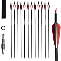 E5e10 31inch carbon for sale  Delivered anywhere in USA 