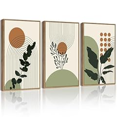 Phopago boho plant for sale  Delivered anywhere in USA 