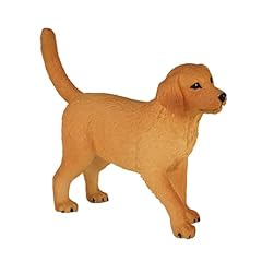 Mojo golden retriever for sale  Delivered anywhere in USA 