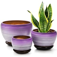 Soujoy set ceramic for sale  Delivered anywhere in USA 