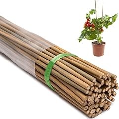 Taoskai pcs bamboo for sale  Delivered anywhere in USA 