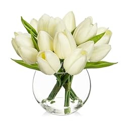 Dilatata artificial white for sale  Delivered anywhere in USA 