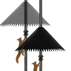 Detoypapa pack squirrel for sale  Delivered anywhere in USA 