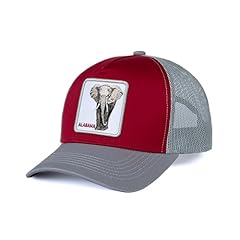 City flex alabama for sale  Delivered anywhere in USA 