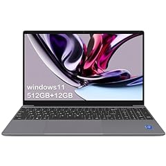 Apolosign 15.6 laptop for sale  Delivered anywhere in USA 