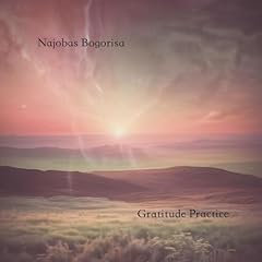 Gratitude practice pt. usato  Spedito ovunque in Italia 