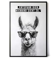 Paul sinus poster gebraucht kaufen  Wird an jeden Ort in Deutschland