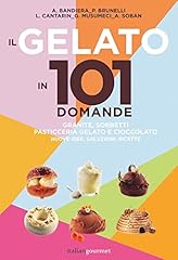 Gelato 101 domande usato  Spedito ovunque in Italia 