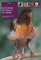 Canaris forme posture d'occasion  Livré partout en Belgiqu