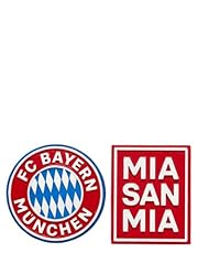 Bayern münchen magnet gebraucht kaufen  Wird an jeden Ort in Deutschland