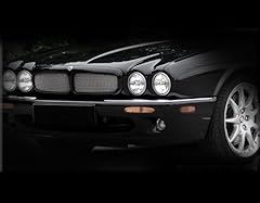 Mesh grille pkg for sale  Delivered anywhere in USA 