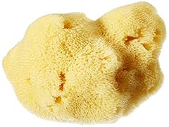 Croll denecke naturschwamm for sale  Delivered anywhere in USA 