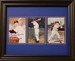 Joe dimaggio ted for sale  Delivered anywhere in USA 