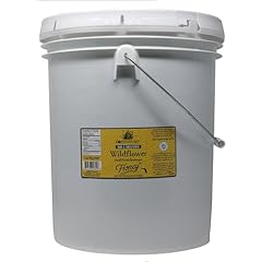 Honey feast wildflower for sale  Delivered anywhere in USA 