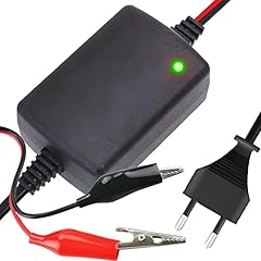Retoo caricabatteria 12v usato  Spedito ovunque in Italia 