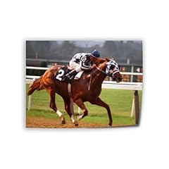 Secretariat horse racing for sale  Delivered anywhere in USA 