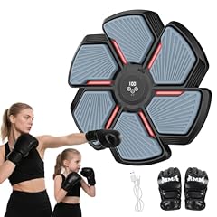 Swbsll music boxing gebraucht kaufen  Wird an jeden Ort in Deutschland