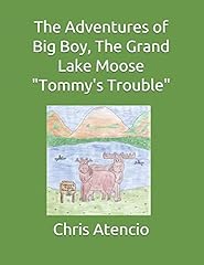 Adventures big boy for sale  Delivered anywhere in USA 