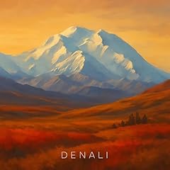 Denali usato  Spedito ovunque in Italia 