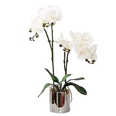 Cxgs artificial orchid for sale  Delivered anywhere in USA 