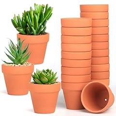 Baxrou terra cotta for sale  Delivered anywhere in USA 
