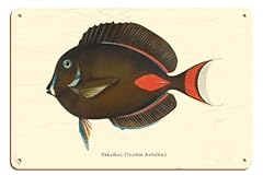 Pakuikui achilles tang for sale  Delivered anywhere in USA 