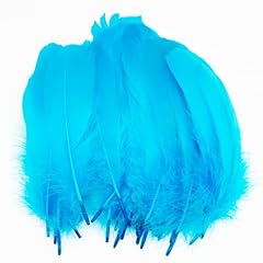 Pieces colorful feathers for sale  Delivered anywhere in UK