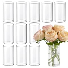 Tbwind 12pcs glass for sale  Delivered anywhere in USA 