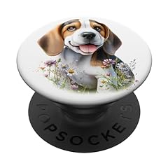 Beagle puppy amidst for sale  Delivered anywhere in USA 