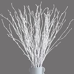 50pcs dried white for sale  Delivered anywhere in USA 
