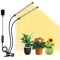 Jinhongto plant light for sale  Delivered anywhere in UK