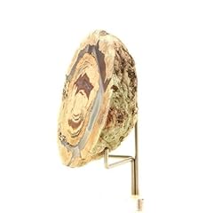 Lithophyse 271.5 carats d'occasion  Livré partout en Belgiqu