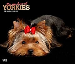 Love yorkshire terriers for sale  Delivered anywhere in USA 