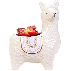 Vanenjoy inch cute for sale  Delivered anywhere in USA 