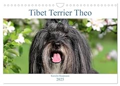 Tibet terrier theo gebraucht kaufen  Wird an jeden Ort in Deutschland