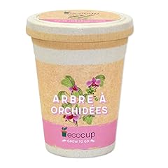 Ecocup arbre orchidées d'occasion  Livré partout en Belgiqu