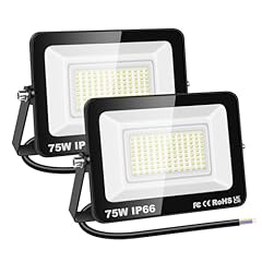 Rigidon 75w luci usato  Spedito ovunque in Italia 