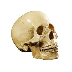 Gazechimp modèle crâne d'occasion  Livré partout en France