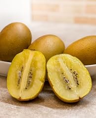 Pianta kiwi giallo usato  Spedito ovunque in Italia 