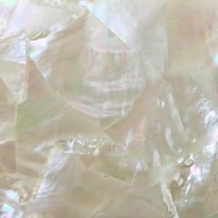 Mother pearl shell for sale  Delivered anywhere in USA 
