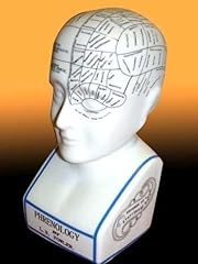 Ceramic phrenology head for sale  Delivered anywhere in Ireland