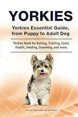 Yorkies. yorkies essential for sale  Delivered anywhere in UK