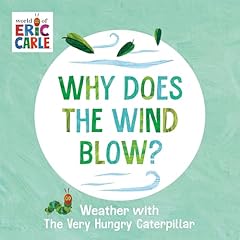 Wind blow weather for sale  Delivered anywhere in UK
